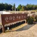 제주 메밀 식당 한라산아래첫마을 비비작작면 후기