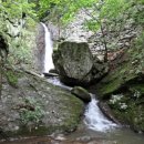 유치자연휴양림 이미지