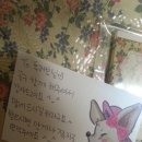 김여우공구