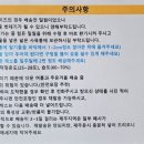 지평선 황금밀웜