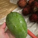 발리라이브 이미지