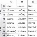 수업 요점_22-25과 분사의 곡용 이미지