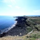 신양섭지코지해변 이미지