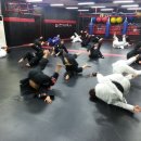 송탄종합격투기 멀티짐 이미지