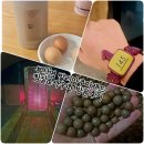 발리아쿠아랜드 이미지