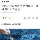 유전자 가위 적용한 첫 치료제… 올해 美서 허가될 듯 이미지