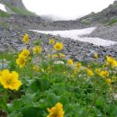 아름다운 산장 이미지