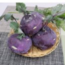 자연대로 이미지