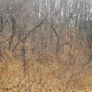 구주령 산채농원 이미지