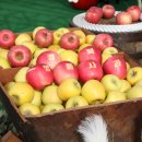 시청광장지하쇼핑센터 이미지