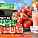 진하농원