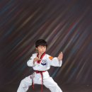 상록키즈태권도 이미지