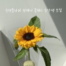 수련플라워 이미지