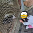유명산 라온캠핑장 이미지