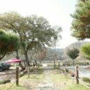 홍천강 이야기 이미지