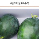 진월농장 이미지