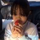 이춘식 농장 이미지