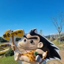 화수공원 | 화순 고인돌 가을꽃축제 예쁜 가을꽃 한가득! 눈이 즐거웠던 방문 후기𖤐