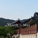 신두리사진공방 | 2026년 3~5월일기