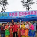 춘천조양초등학교 이미지