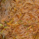 만복밥집 - 안산시 단원구 | 만복밥집