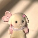 경일전자 | 이건 마치 Perfect timing 그냥 넘기기엔 예쁜 햇살까지