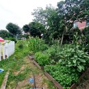 표선어린이집 이미지