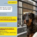 놀다가개유치원 이미지