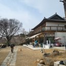바닐라브릭 - 대형견 운동장이 있는 남양주 애견카페 nn번째 방문
