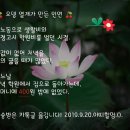 주머니열개 이미지