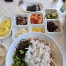 금강산물회 | ​고성 맛집 봉포머구리집 고성점 천진해변 앞 물회 섭국 솔직후기