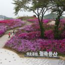 성호메디컬 이미지