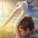 영화&lt;스톰보이&gt;줄거리 등장인물 평가 및 후기