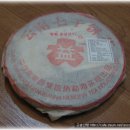 펜션1996 티스토리