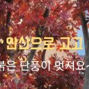 진정주약국 이미지