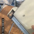 오늘도 모판 작업 중입니다 이미지