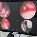 서울오브치과병원 이미지