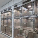 민들레병원 이미지