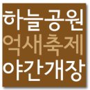 [하늘공원축제] 서울억새축제 야간개장 가는길(주차), 조명쇼 시간
