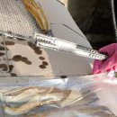 생극낚시터 이미지