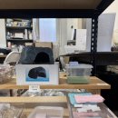 오케이 정소용품나라 | 안양 파충류샵 엔터렙타일 게코도마뱀 분양 후기