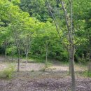 느티나무2농장 이미지