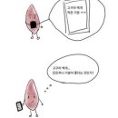 컴엔메이크공예학원 | EF 캐나다 빅토리아 어학연수 후기 D+5-8