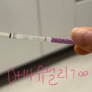 진하길 | 원포 임테기 진하기 두줄 날짜별 비교 변화 아기집 시기