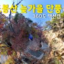 202411 도봉산 늦가을 단풍 / 360도 액션캠 / 인스타360 X4 이미지