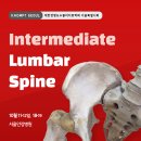 ＜추가 접수 중＞ 25/10 서울특별시회 Intermediate course of Lumbar spine 신청안내 이미지