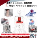 임스테라피 네이버블로그