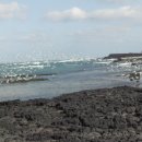 납읍초등학교 이미지