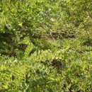 화동초등학교 이미지