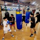 지인진복싱스포츠 이미지